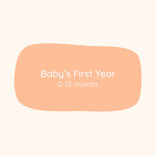 Care Guide 0-12 Months