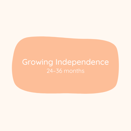 Care Guide 24-36 Months